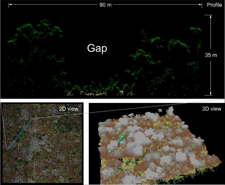 LiDAR penetrando vegetação densa para identificar o solo real